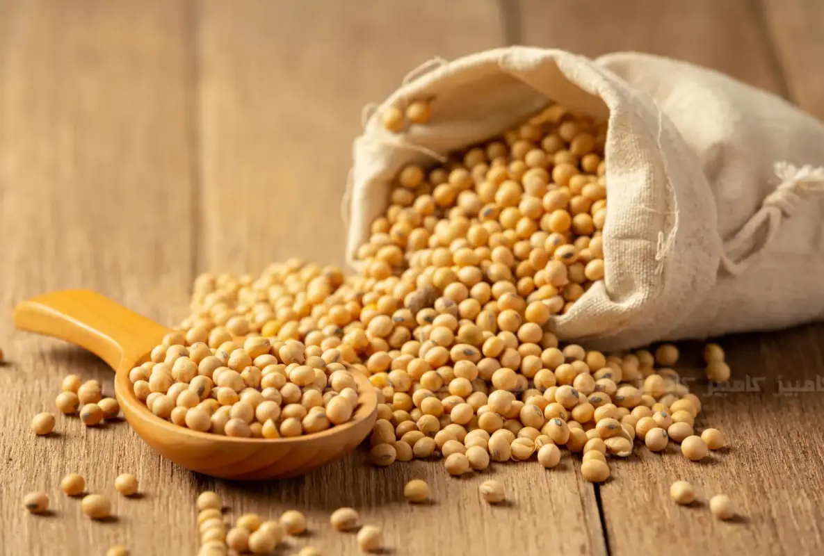 میزان پروتئین سویا