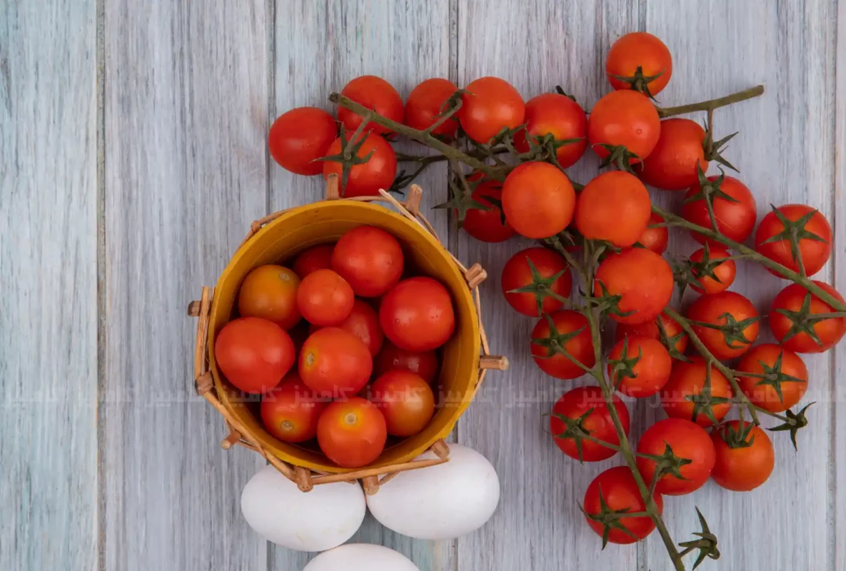 مصرف گوجه فرنگی در بارداری، خوردن گوجه فرنگی در بارداری